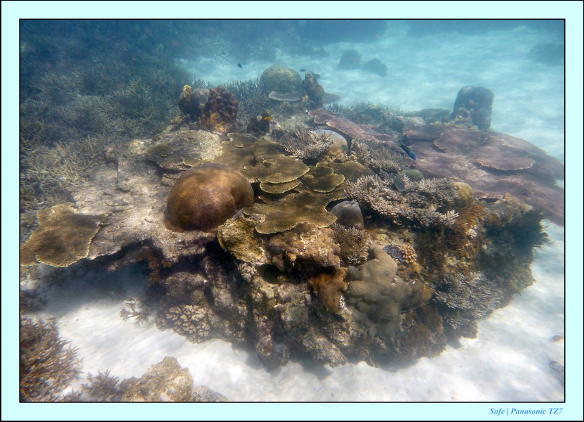 2009   07   Perhentians 006